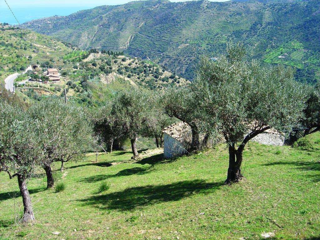 Ferienwohnung La Finestra Sulle Eolie Reitano  Zimmer foto